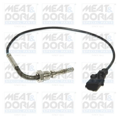 Sensor, exhaust gas temperature